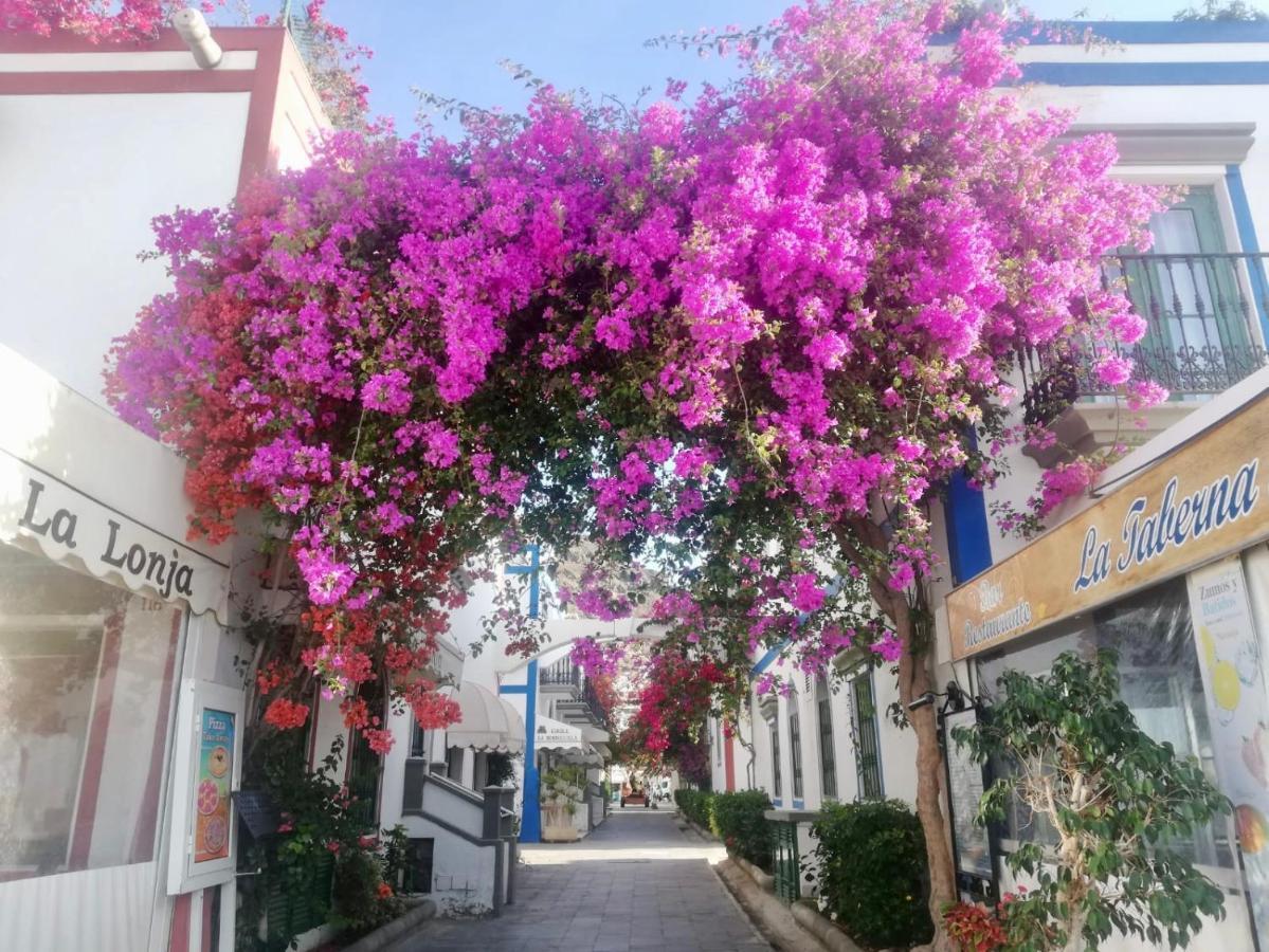 Pension Playa Puerto De Mogan Zewnętrze zdjęcie